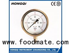 (Y-100B-F、Y-100B-FZ)100mm Lower/back Mount Stainless Steel Pressure Gauge M20*1.5,G1/2'',1