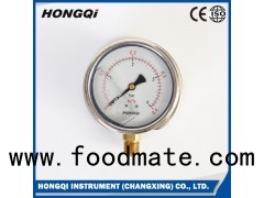 (YTN-100、YTN-100ZT、YTN-100B)100mm Lower/back Mount Vibration-resistant Pressure Gauge M20*1.5,G1/2&#