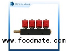 6Ω Injection Rail,LPG CNG Injector, Fuel Injector for LPG System