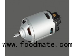 High Torque 230v Frequently-used Mini Dc Motor 3040 For Juicer