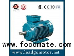 IE3（YE3）Series Premium Efficiency Totally Enclosed Fan Cooled, Continuous Working Duty 3 Phase Induc