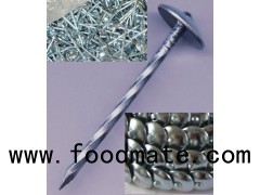 Hot Dipped Galvanized Roofing Nails