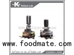 Potentiometer