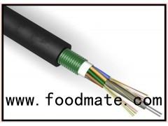 Single Armored Double Sheathed Longitudinal Layer Or Aluminum Stranded Outdoor Fiber Optic Cable