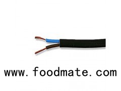 Durable Copper Conductor PVC Insulated Ground Type Connection Or Flat Shape Flexible Wire