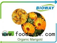 Organic Marigold