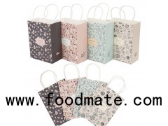 Printed Recycle Folding Handle Gift Paper Bag