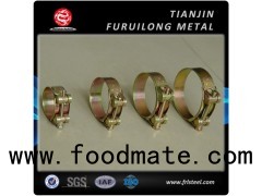 Hose Clamp Heavy Duty W1 W2 W4