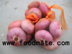 TUTICORIN EXPORTERS WHOLESALE DEALERS SUPPLIER ONION