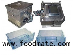 Making Refrigerator Injection Mold Machinery