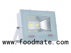 Commercial Cob Led Flood Light Outdoor And Indoor 50W 100W 5 Years Warranty Hot Selling