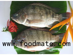 Frozen Black Tilapia Fish