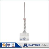 Aluminum Conductor Steel Reinforced ACSR Conductor ASTMB231