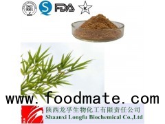 Pure Bamboo Leaf Extract,Bamboo Extract,Organic Powder