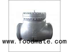 Lift Type Asme Spring Loaded Non Return Check Valve