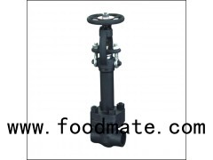 Lf2 Low Temperature 3 Inch Scrw End Cryogenic Gate Valve