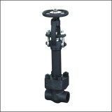 Lf2 Low Temperature 3 Inch Scrw End Cryogenic Gate Valve