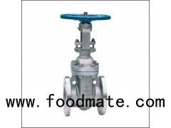 Hand Wheel Electric Driveing Rising Stem Flange Connection Api Gate Valve