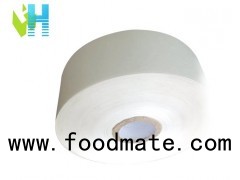 DMD & DM Lamination Paper Consisting Of Polyester Fleece And Polyester Film