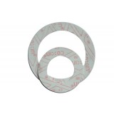 PTFE/expanded PTFE Flat Gasket