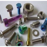 Titanium Screw |hexagon/tapping/flat Head Socket Cap Screws with High Quality