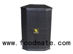 AT10 Single 10 200w Professional Indoor Full Range Audio Speaker