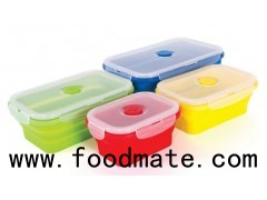 Thin Bins Collapsible Containers Set Of 4 Square Silicone Food Storage Containers BPA Free Microwave