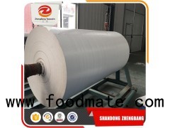 Vapor Moisture Permeable Housewrap