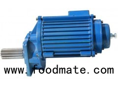 Open Pinion Crane Gear Motors