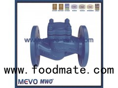 DIN Cast Steel And Stainless Steel F4 F5 F7 Type Lift Check Valve