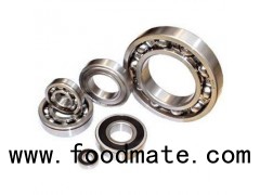 Stainless Steel Deep Groove Ball Bearing