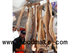 WHOLE FROZEN REEF COD FISH, WHOLESALE DRIED ATLANTIC COD FISH , WHOLESALE STOCK FISH