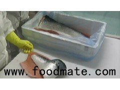 FRESH SALMON FILLET