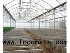 Naturally Ventilated Easy Assembly Cheap Multi Span Sawtooth Greenhouse