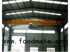 LDY Steel Mill Steel Manufacturing Single Beam Hoist Crane For Molten Steel Lifting