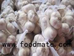 China Cangshan 4,6 Cloves Fresh Garlic Packed In Mesh Bags