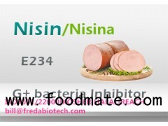 NISIN E234 | Manufacturer | Anti-gram+ preservative