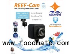 Most Popular Reliable Submersible and Quality WiFi Aquarium Camera for Professional Hobbyist