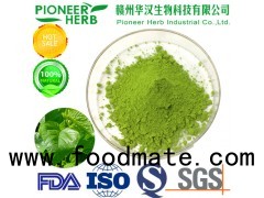 green mulberry leaf powder with good taste and aroma