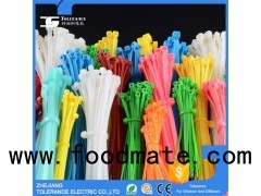 PA66 Cable Tie