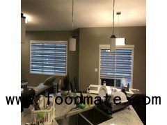 Zebra Window Treatments