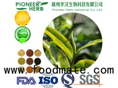 instant puer tea powder for various beverages and drinks