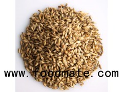 Canary Seed