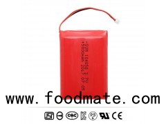 Electronic Lock Lithium Battery Pack