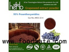 Grape Seed Extract Vitis Vinifera L.