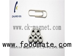 Coating Permanent Sintered Ferrite Ring Magnet