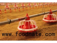 Goldenest cheap price and good quality poultry broiler house equipment