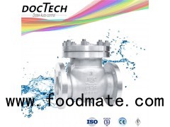 Stainless Steel ANSI Cf8 Cf8m Flange Swing Check Valve