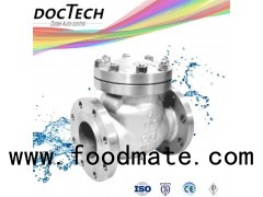 Stainless Steel Cf8 Cf8m Flange Check Valve