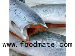 Frozen Chum Salmon Fillet / High quality new frozen chum salmon fillet